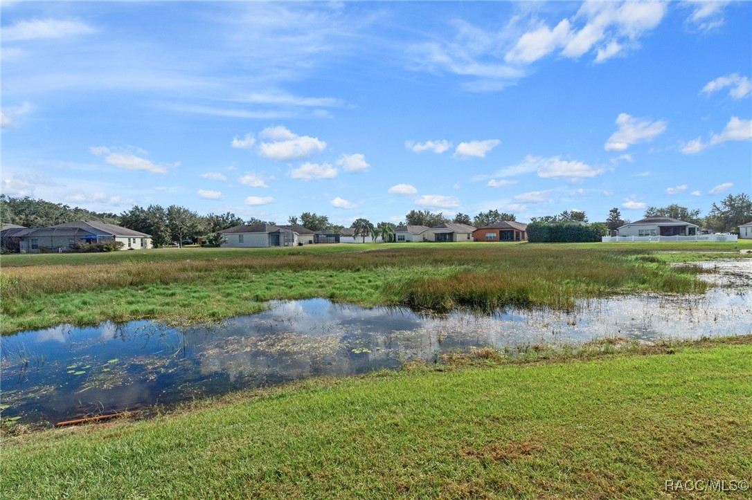 14713 Wake Robin Drive, Brooksville, Florida image 40