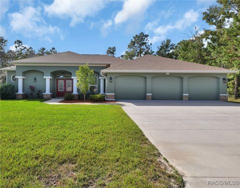 A home in Homosassa