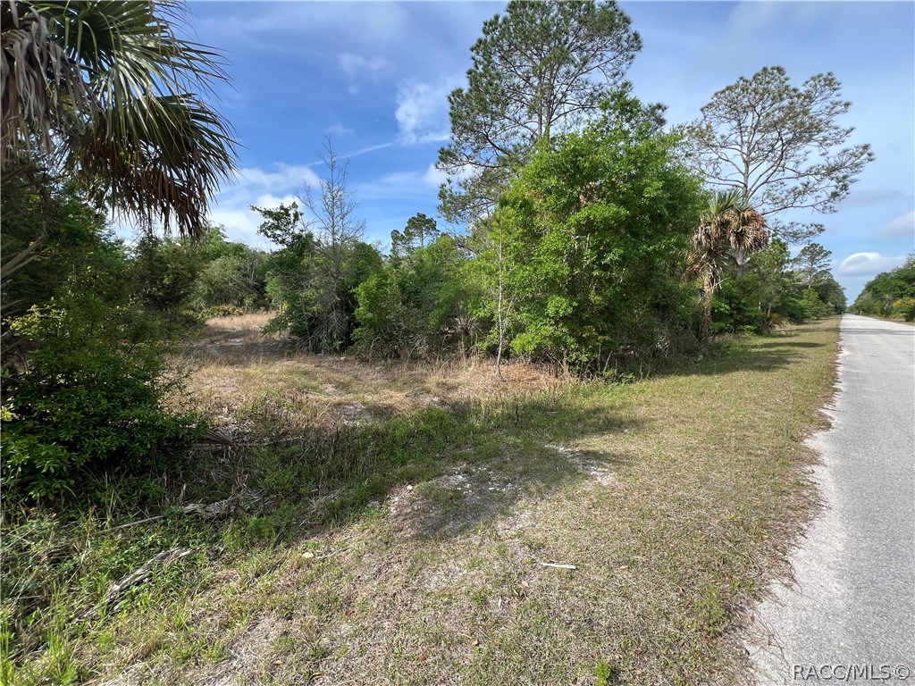 12036 W Flaxen Drive, Crystal River, Florida image 1