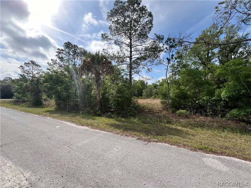 12036 W Flaxen Drive, Crystal River, Florida image 4