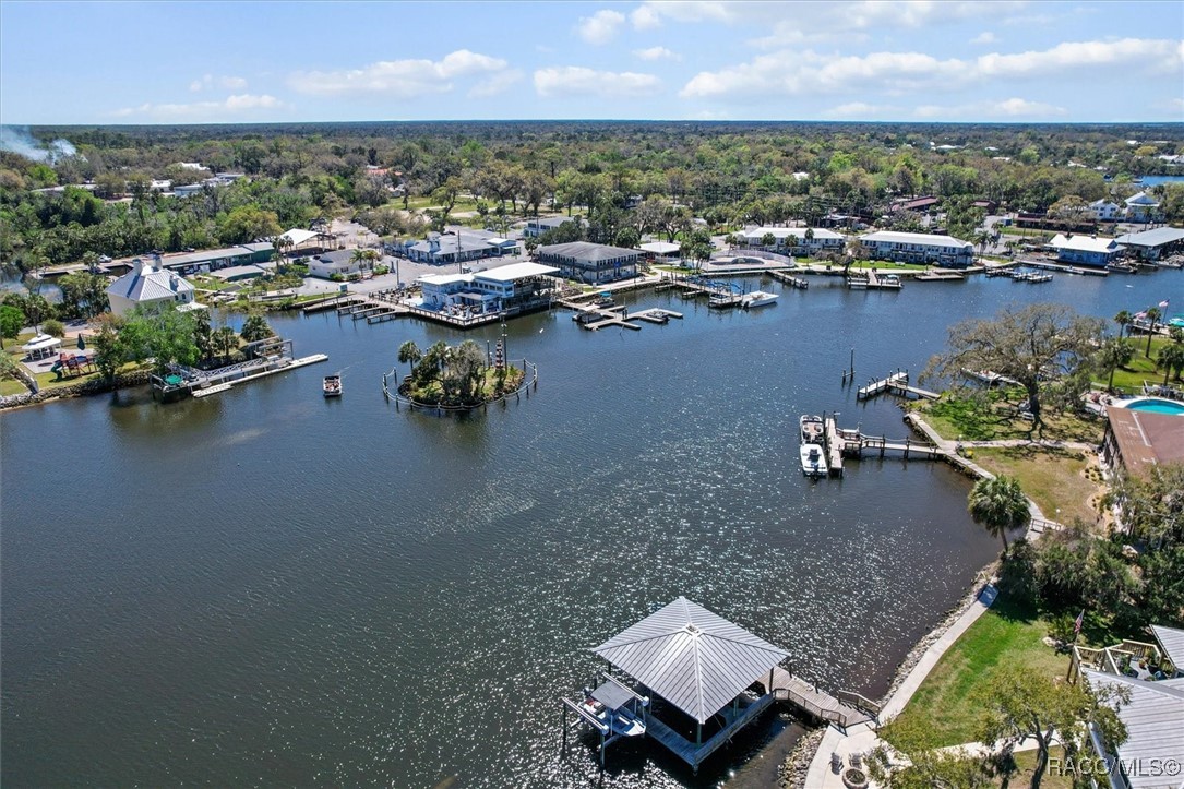 11591 W Clayton Drive, Homosassa, Florida image 25