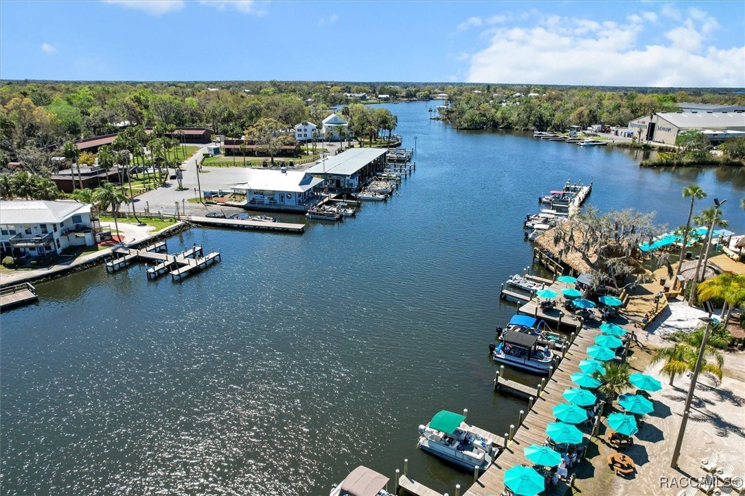 11591 W Clayton Drive, Homosassa, Florida image 22