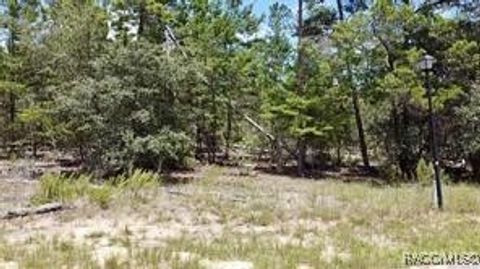 Vacant Land For Sale - 1 Crossandra Court<br/> Homosassa, FL 34446