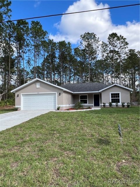 A home in Citrus Springs