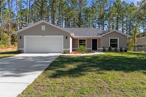 A home in Citrus Springs