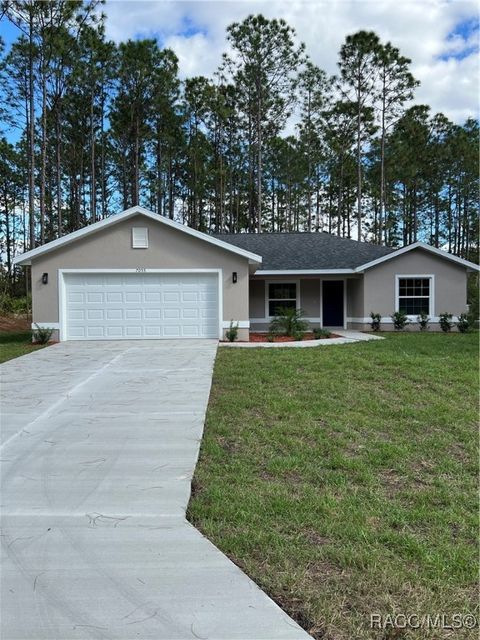 A home in Citrus Springs