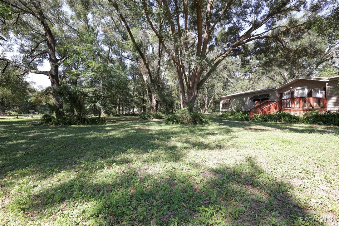 10585 N Citrus Avenue, Crystal River, Florida image 3