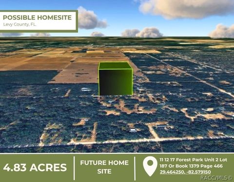 Vacant Land For Sale - TBD 88th Street<br/> Levy County, Bronson, FL 32621