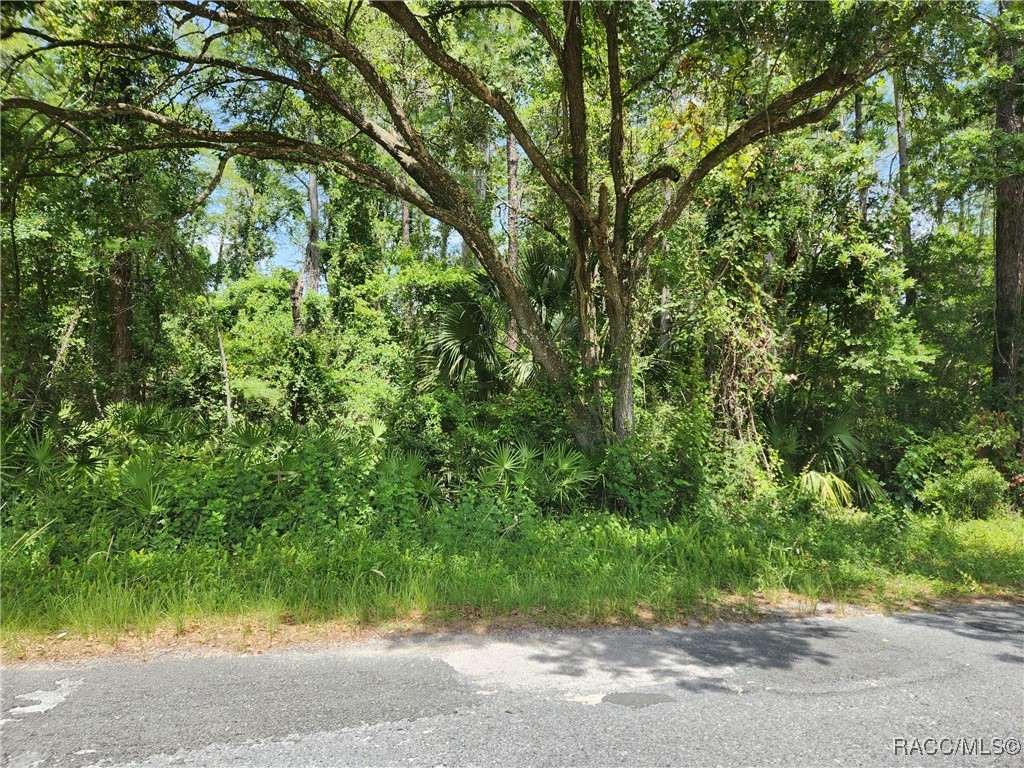 000 Olsen Road, Spring Hill, New York image 2