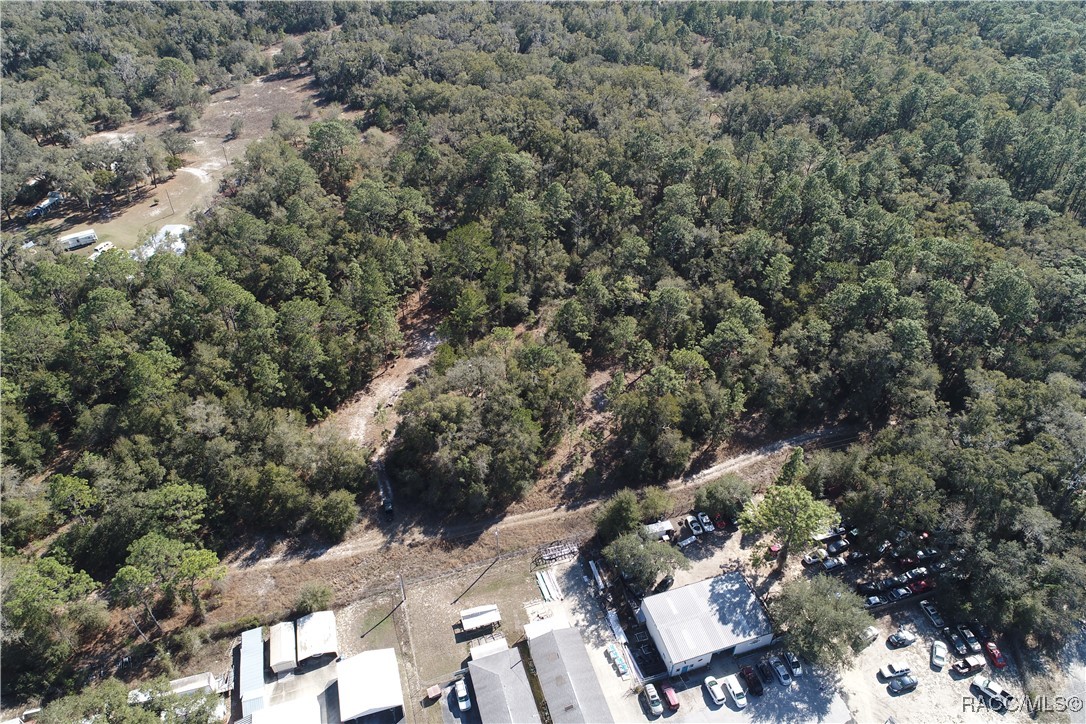 2654 W Orange Grove Place, Dunnellon, Florida image 3