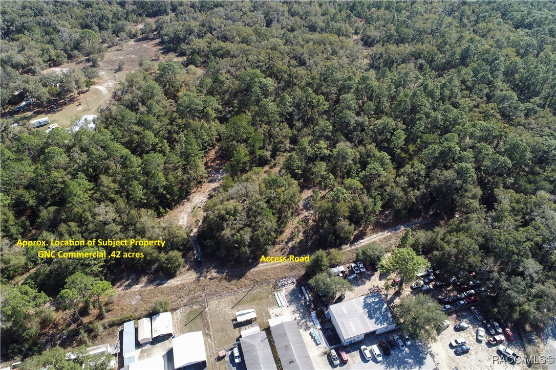 2654 W Orange Grove Place, Dunnellon, Florida image 6