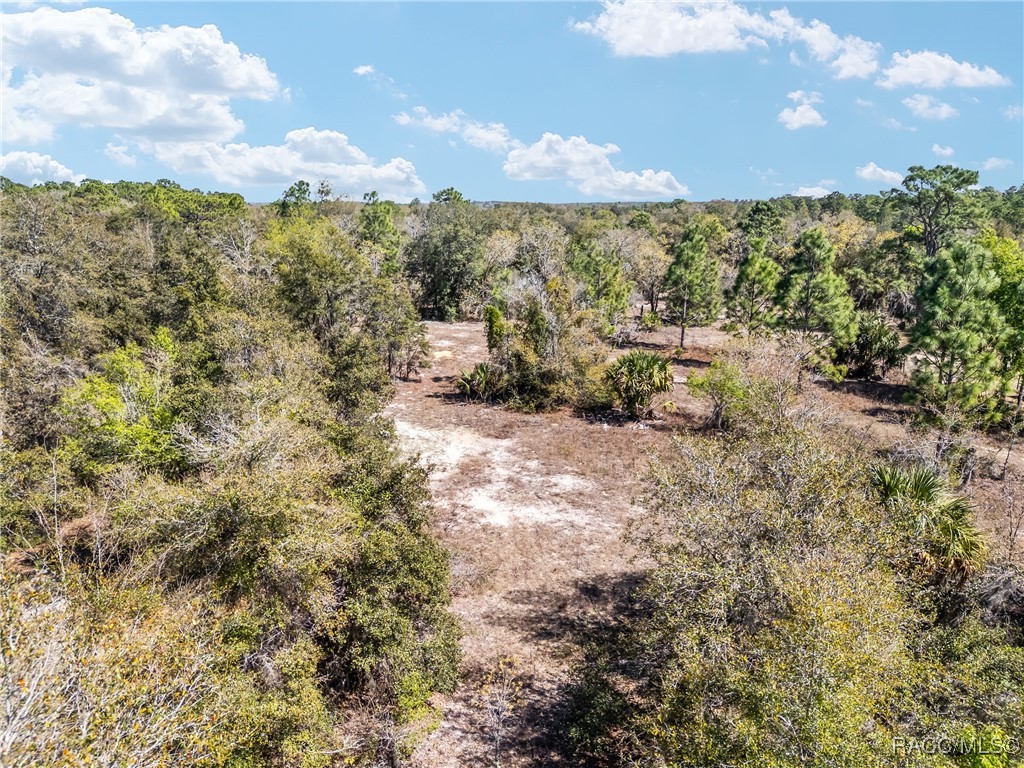 11861 N Pan An Terrace, Dunnellon, Florida image 1