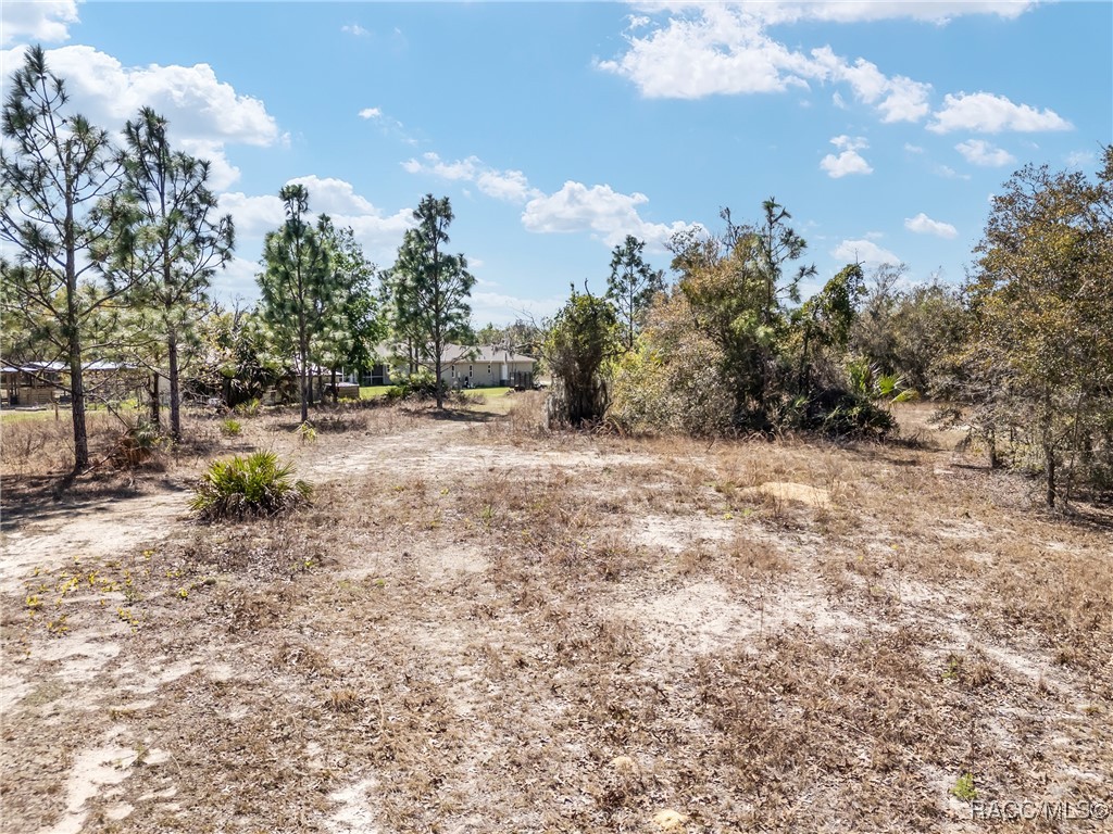 11861 N Pan An Terrace, Dunnellon, Florida image 8