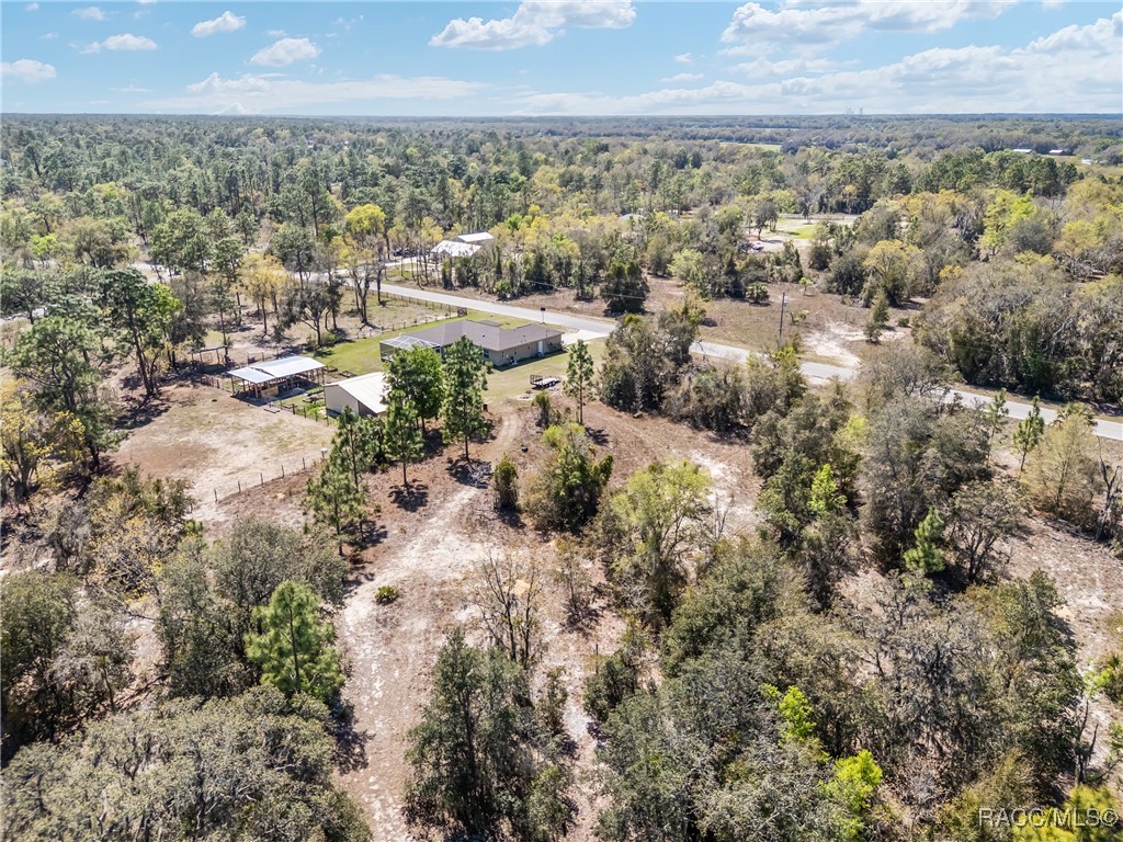 11861 N Pan An Terrace, Dunnellon, Florida image 13