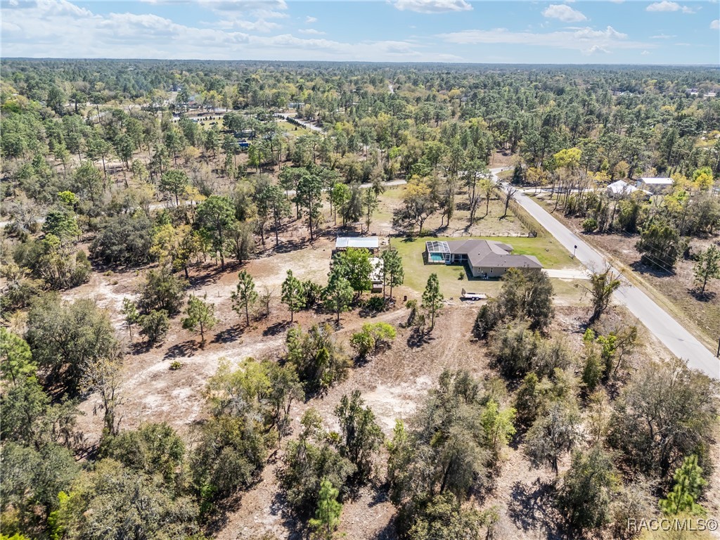 11861 N Pan An Terrace, Dunnellon, Florida image 14