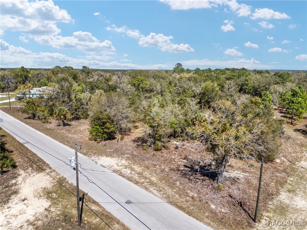 11861 N Pan An Terrace, Dunnellon, Florida image 10