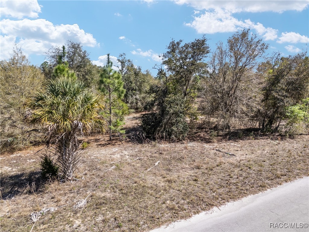 11861 N Pan An Terrace, Dunnellon, Florida image 3