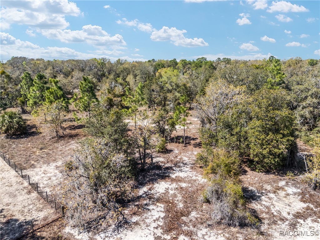 11861 N Pan An Terrace, Dunnellon, Florida image 7