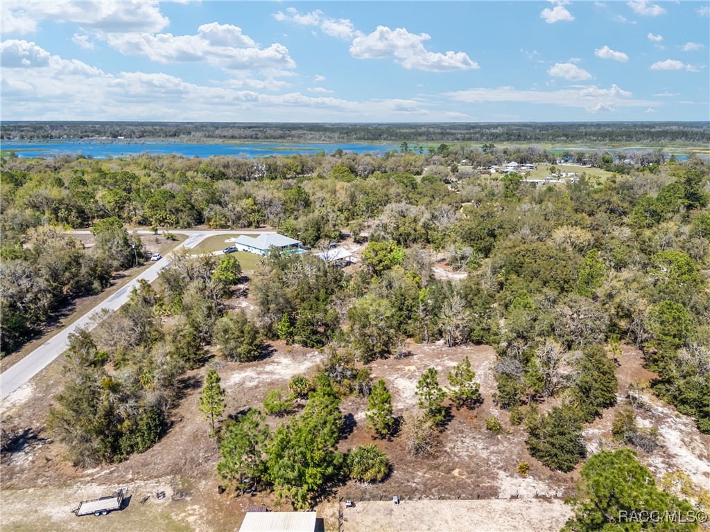 11861 N Pan An Terrace, Dunnellon, Florida image 12