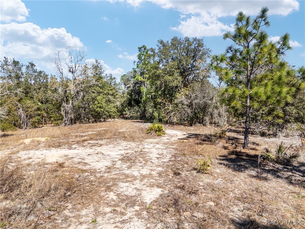 11861 N Pan An Terrace, Dunnellon, Florida image 9