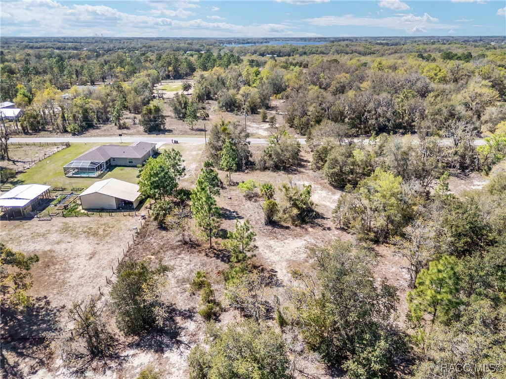 11861 N Pan An Terrace, Dunnellon, Florida image 11