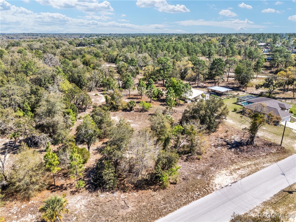 11861 N Pan An Terrace, Dunnellon, Florida image 5