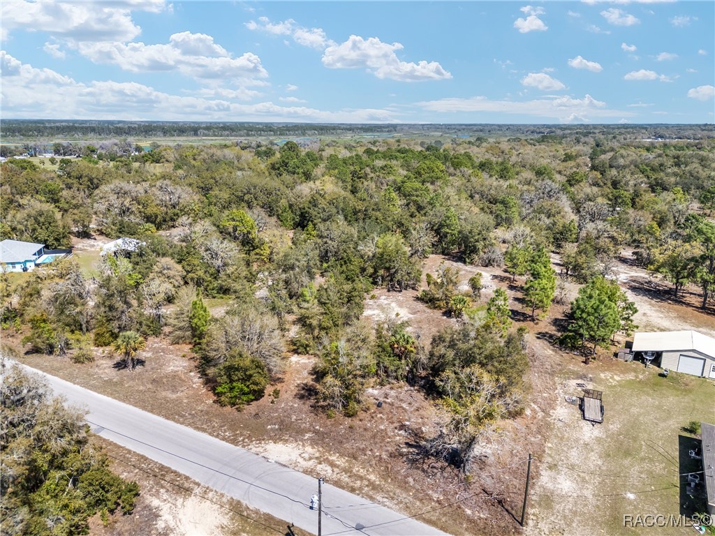 11861 N Pan An Terrace, Dunnellon, Florida image 4
