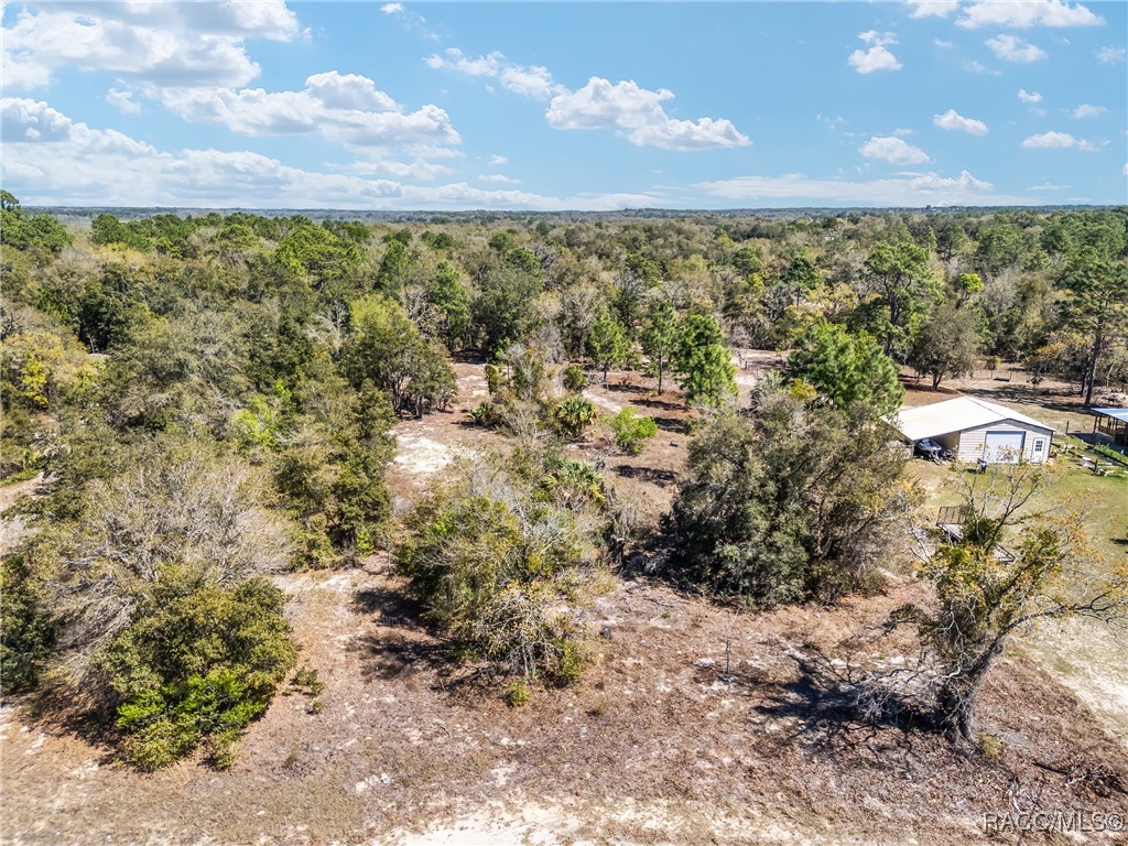 11861 N Pan An Terrace, Dunnellon, Florida image 6