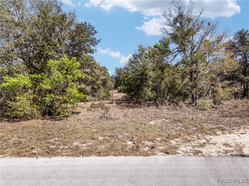 11861 N Pan An Terrace, Dunnellon, Florida image 2
