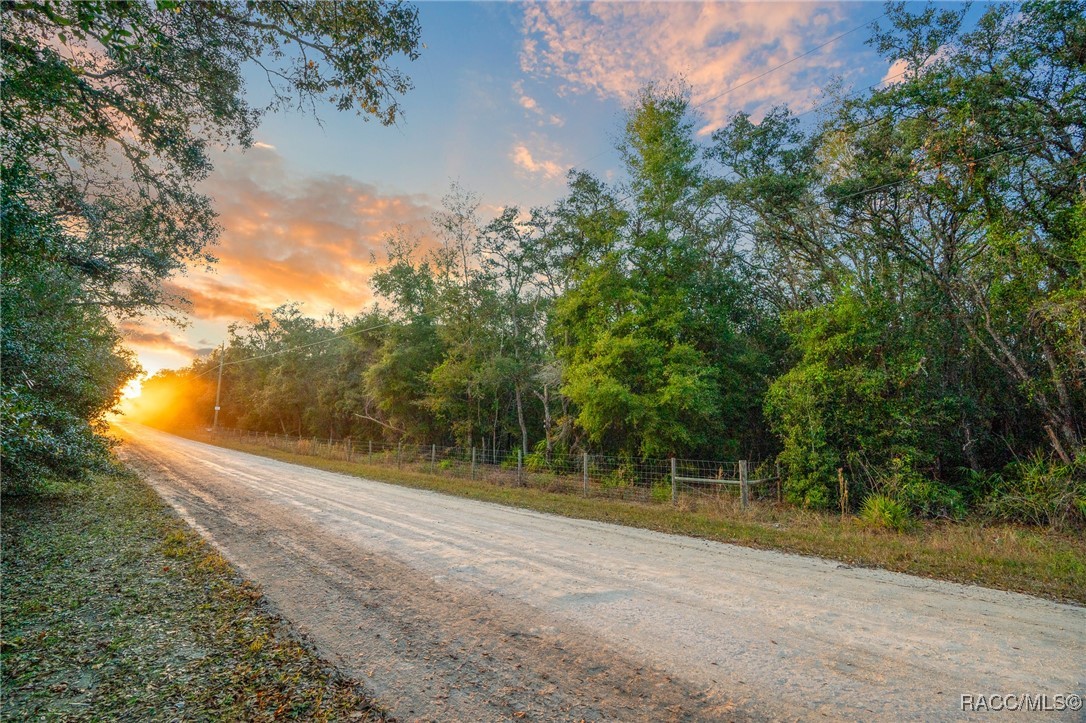 TBD Rim Rock Street, Webster, Florida image 1