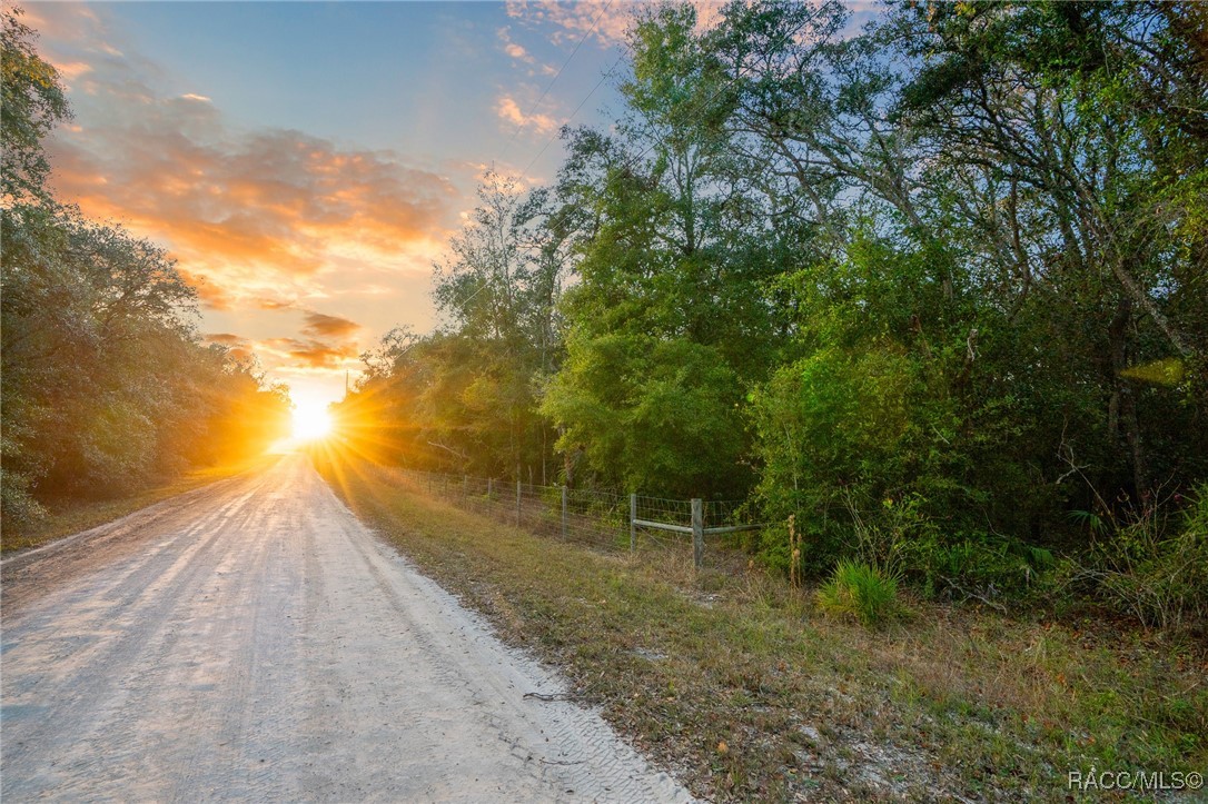 TBD Rim Rock Street, Webster, Florida image 3