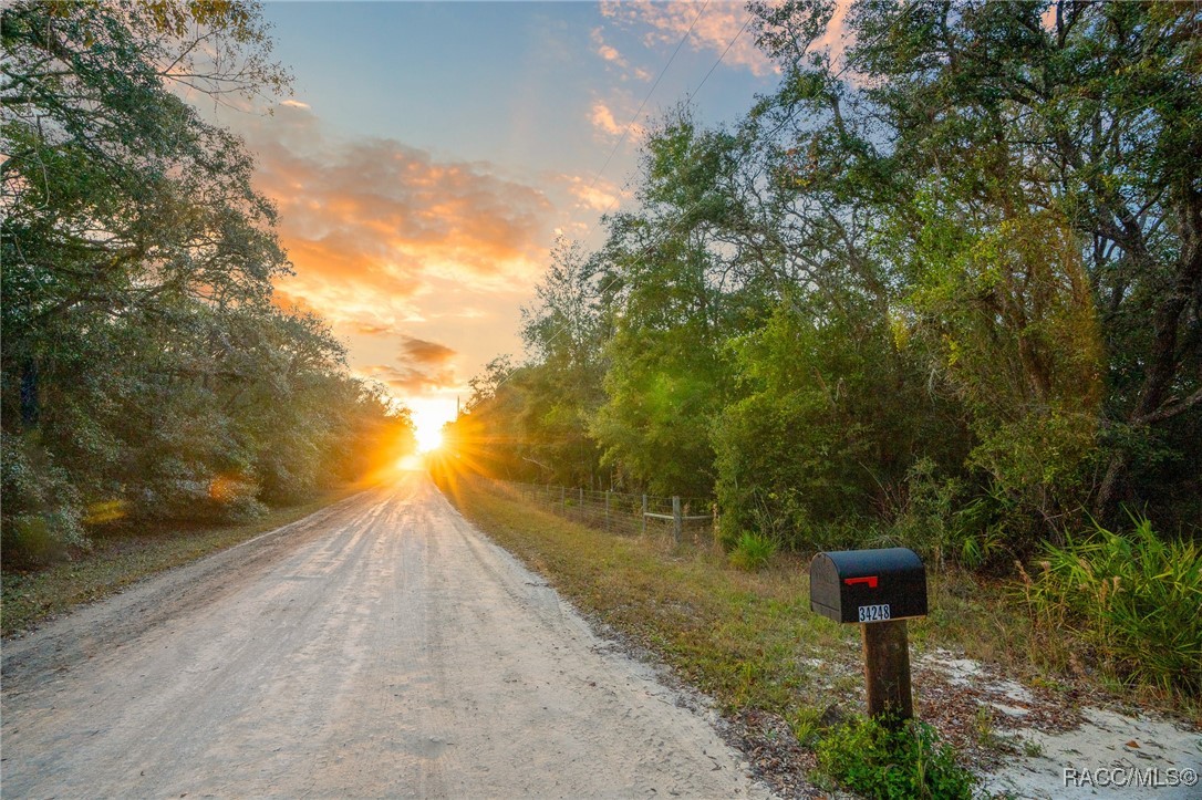 TBD Rim Rock Street, Webster, Florida image 6