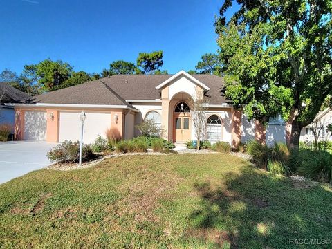 A home in Homosassa