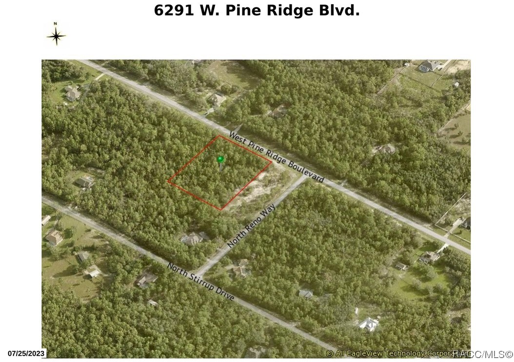 6291 W Pine Ridge Boulevard, Beverly Hills, Florida image 1