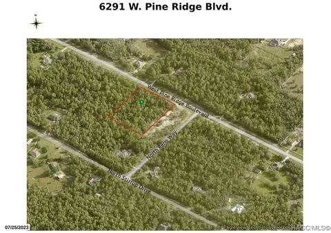 6291 W Pine Ridge Boulevard Beverly Hills FL 34465