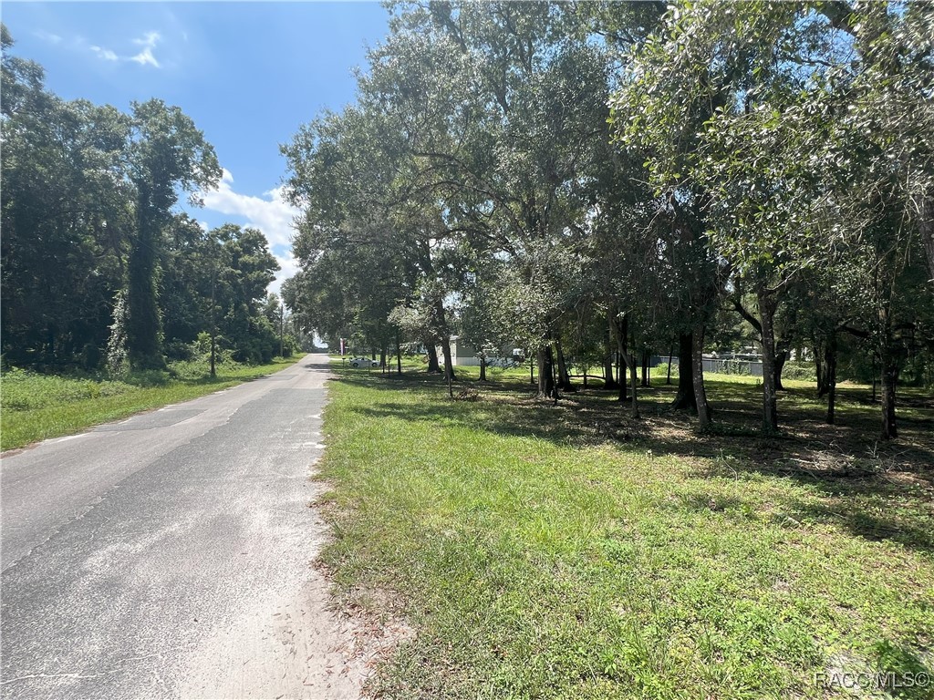 4422 Cr 690, Webster, Florida image 18