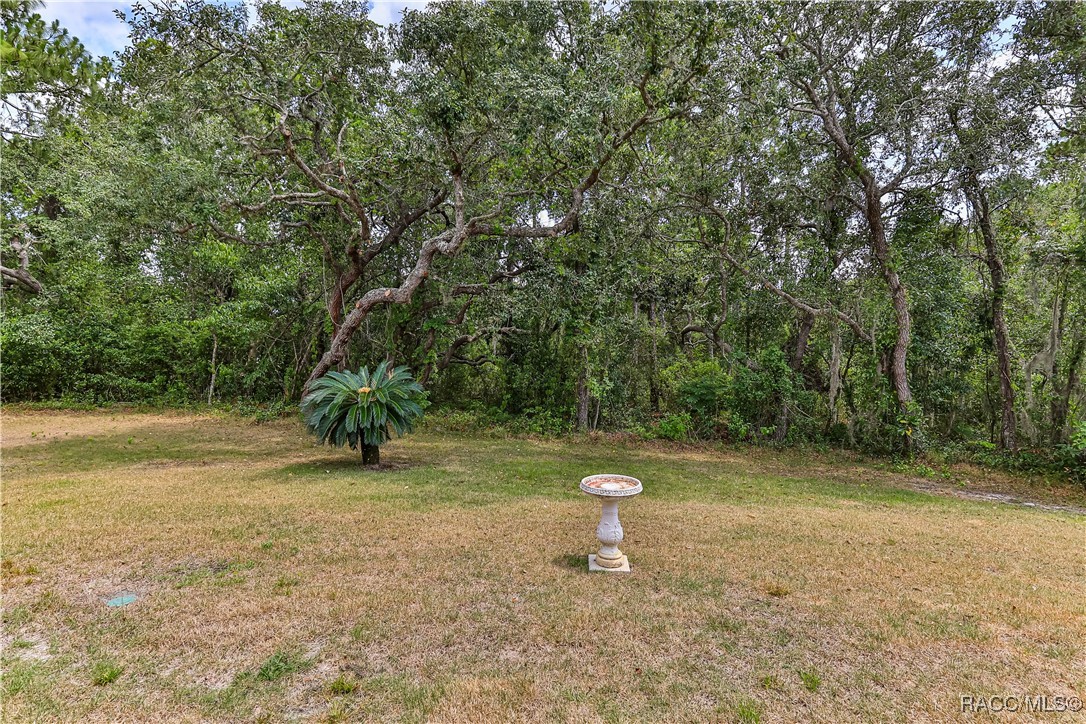 9 Longleaf Court, Homosassa, New York image 40