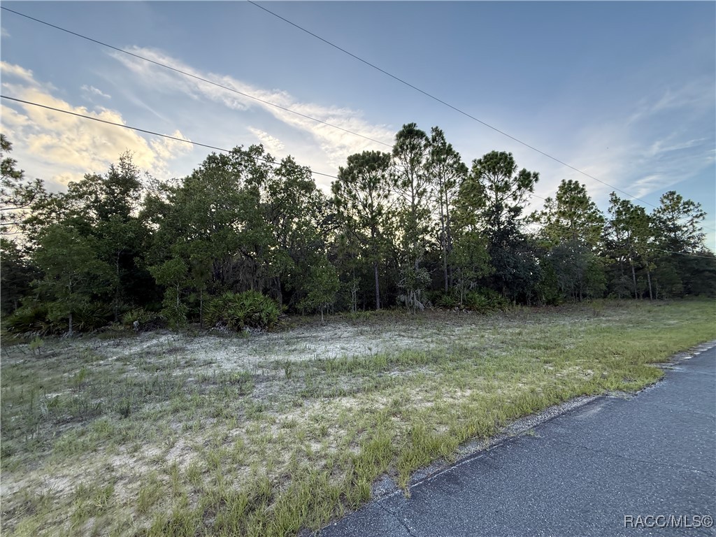 3368 N Buckhorn Drive