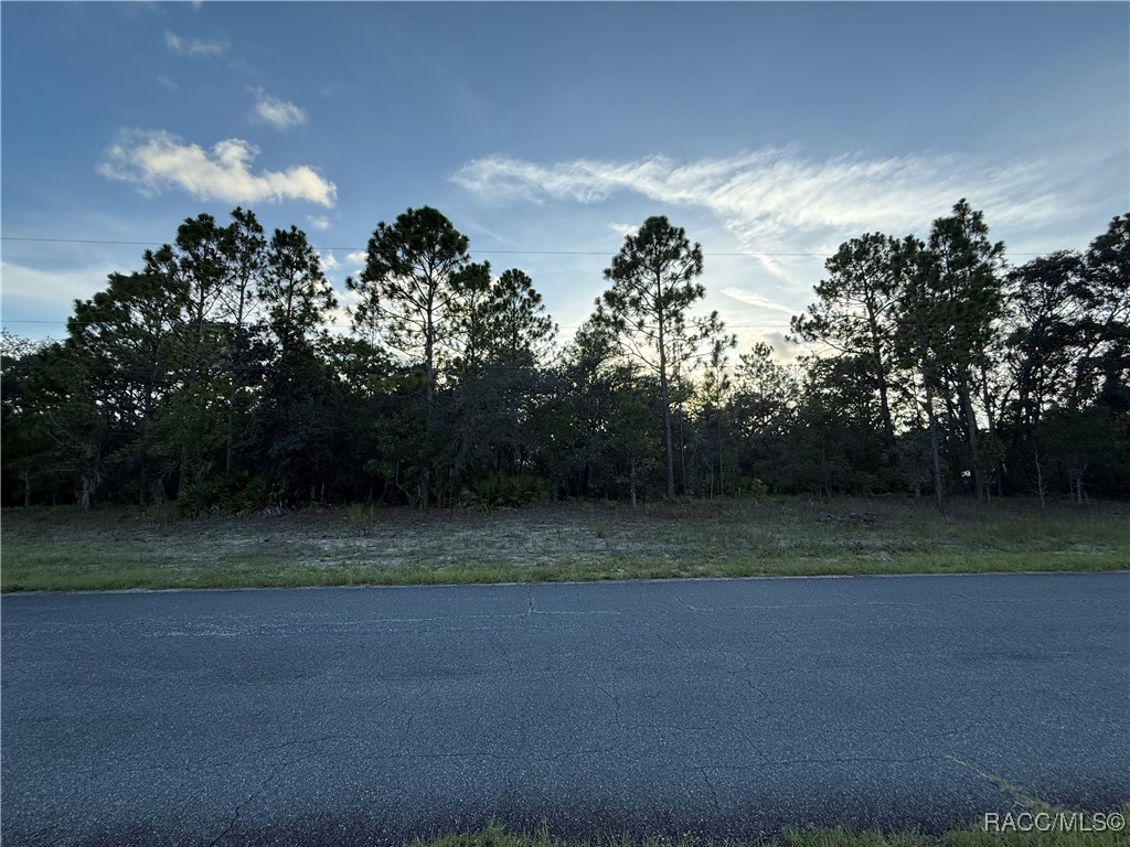 3368 N Buckhorn Drive