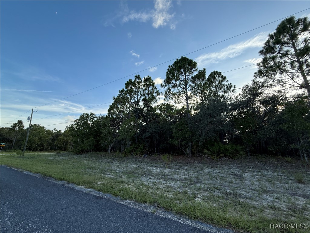 3368 N Buckhorn Drive