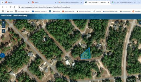 Vacant Land For Sale - 9173 N Justa Drive<br/> Citrus Springs, FL 34433