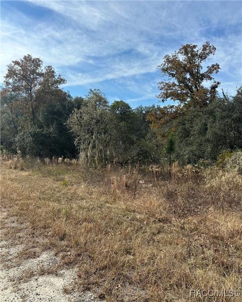 Vacant Land For Sale - LOT 26 SE 133rd Avenue<br/> Dunnellon, FL 34434