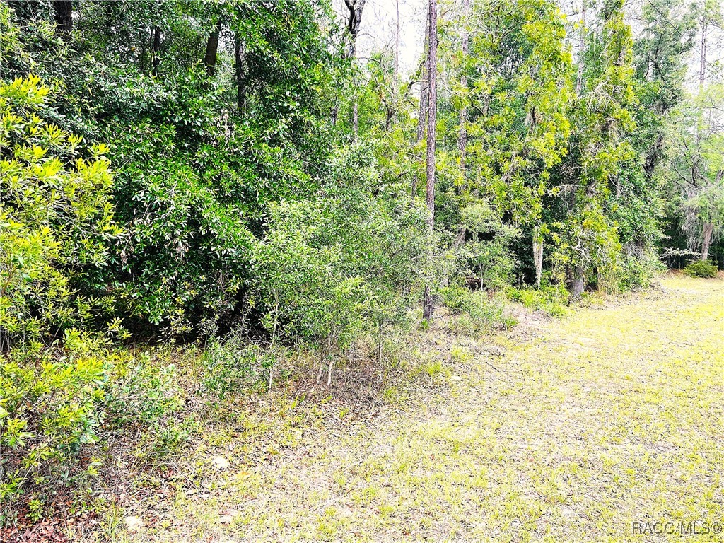 0000 SW 85 Loop, Dunnellon, Florida image 7