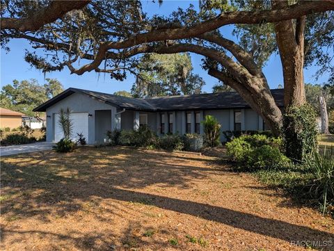 2409 S Shelly Avenue Inverness FL 34450