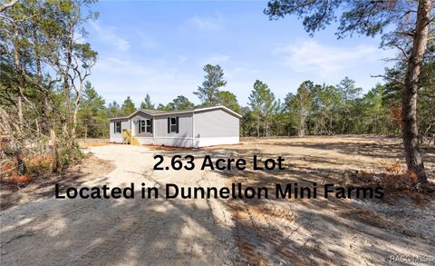 A home in Dunnellon