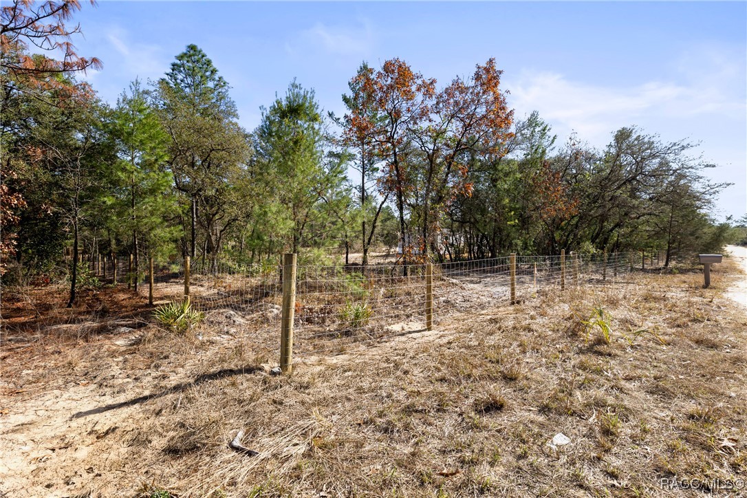 8733 N Windbreak Terrace, Dunnellon, Florida image 6