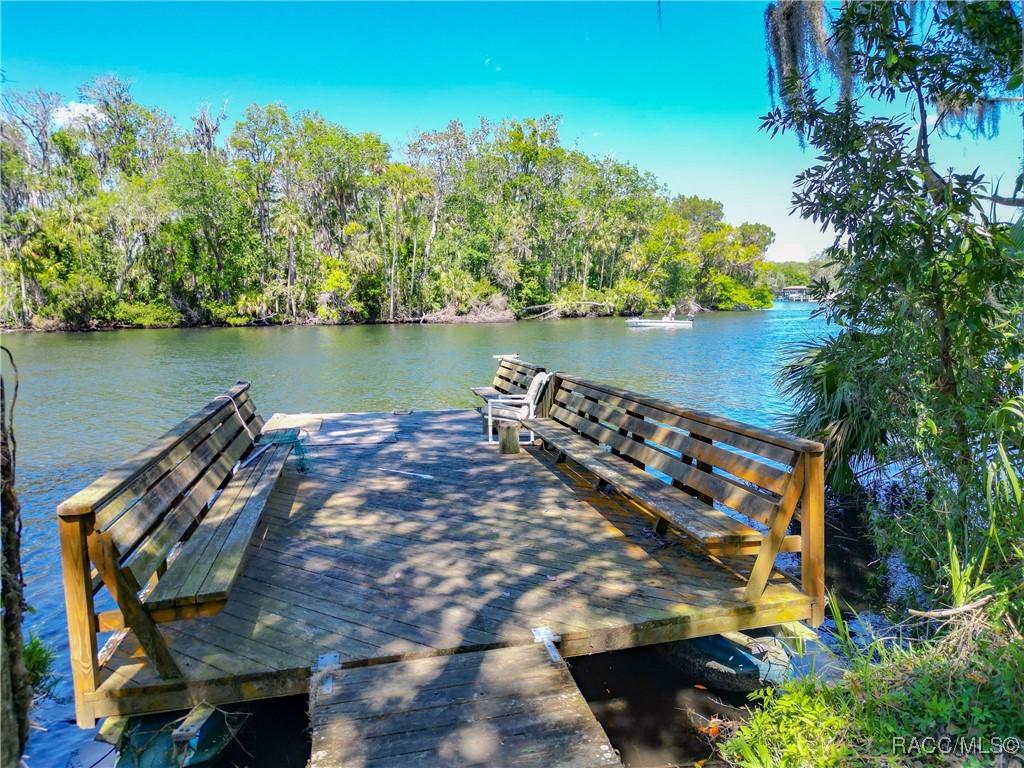 4600 S Lewoods Drive, Homosassa, Florida image 2