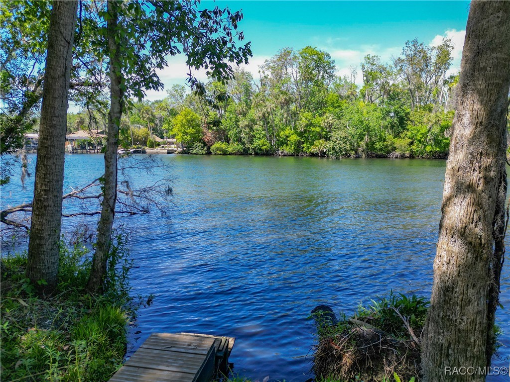 4600 S Lewoods Drive, Homosassa, Florida image 4
