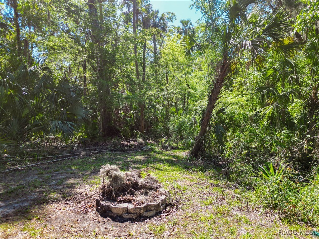 4600 S Lewoods Drive, Homosassa, Florida image 43