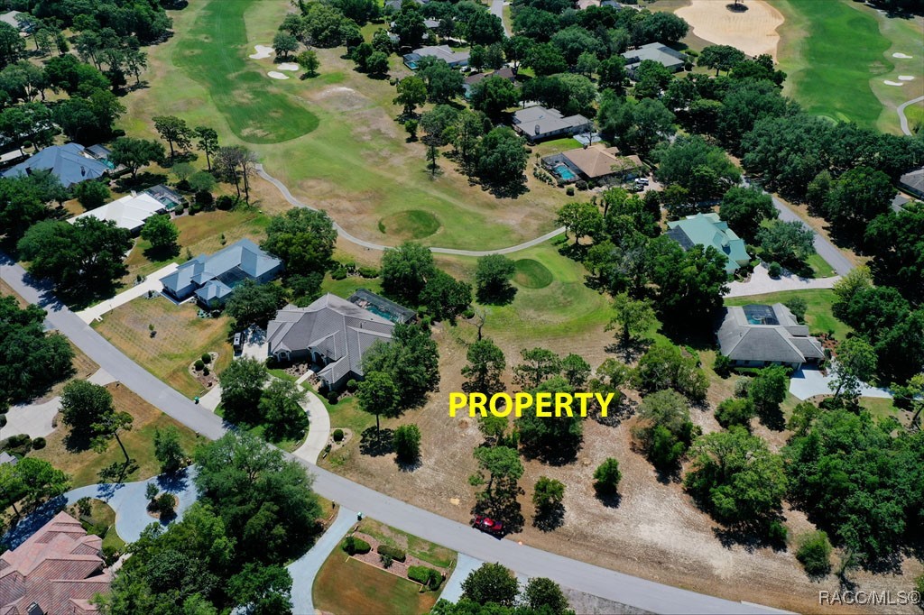 3577 N Pine Valley Loop, Lecanto, Florida image 4